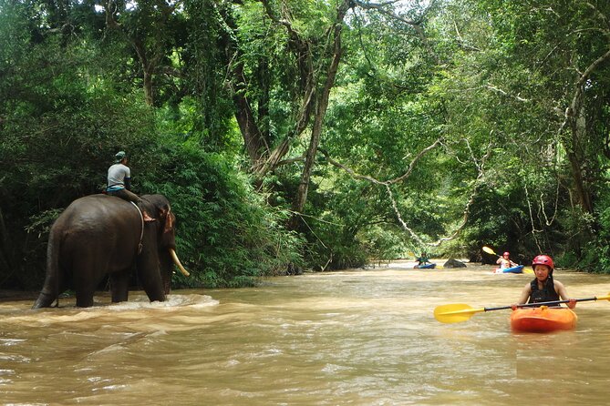 Chiang Mai: Jungle Kayak Adventure with Rapids & Elephants - The lower river and Lost Canyon