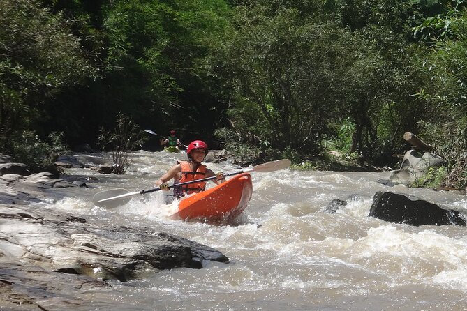 Chiang Mai: Jungle Kayak Adventure with Rapids & Elephants - Elephants, birds, and a river view of northern Thailand