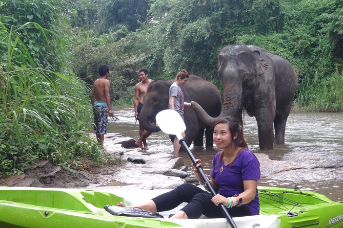 Chiang Mai: Jungle Kayak Adventure with Rapids & Elephants - What to bring, and the horse fly issue