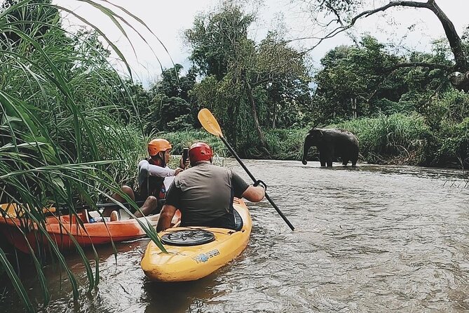 Chiang Mai: Jungle Kayak Adventure with Rapids & Elephants - Choosing the right kayak for your ability