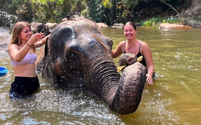Chiang Mai: Jungle Trek, Elephants care & Bamboo Rafting - A long but varied day south of Chiang Mai