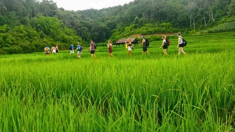 Chiang Mai: Jungle Trek, Elephants care & Bamboo Rafting - Trekking through forest, fields, and Karen country