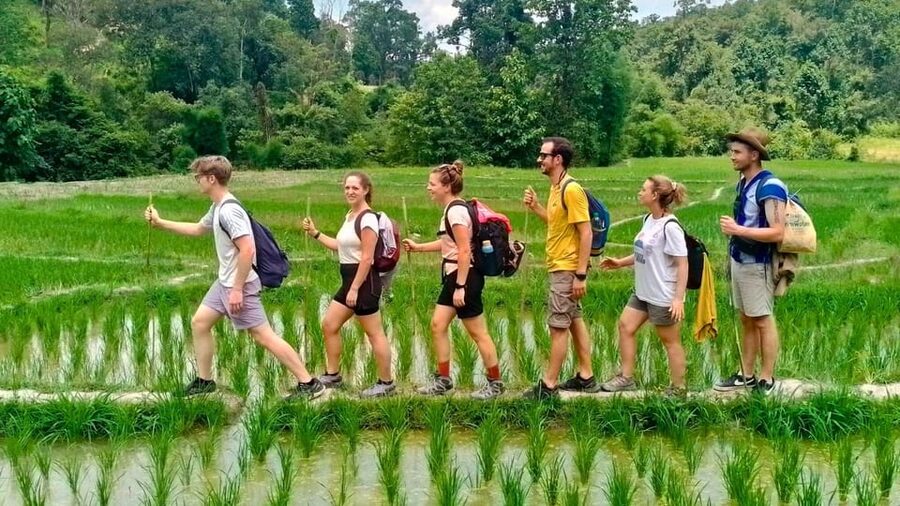 Chiang Mai: Jungle Trek, Elephants care & Bamboo Rafting - The elephant-care concern