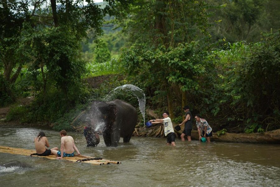 Chiang Mai: National Elephant Care, Rafting, & Ziplines Trip - A morning drive from Chiang Mai to Mae Wang
