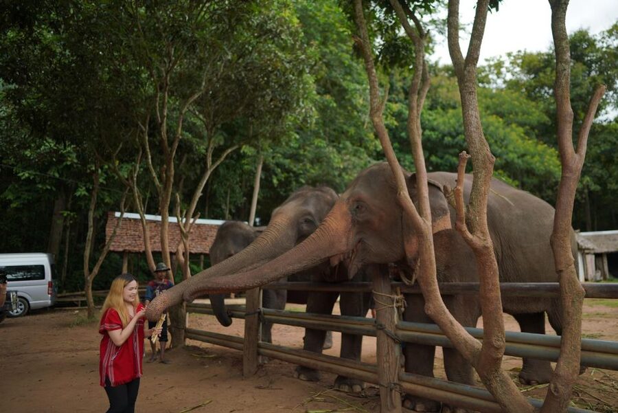 Chiang Mai: National Elephant Care, Rafting, & Ziplines Trip - Lunch beside the river