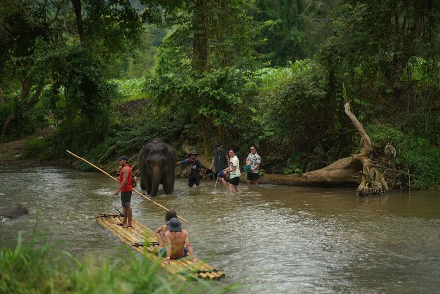 Chiang Mai: National Elephant Care, Rafting, & Ziplines Trip - What to bring for a wet and active day
