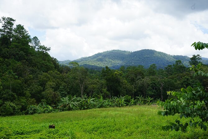 Chiang Mai Trekking Tour :Full day (no rafting) - Who should book this Chiang Mai day trip