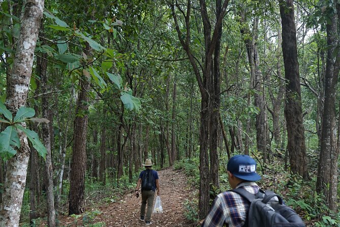Chiang Mai Trekking Tour :Full day (no rafting) - Five hours on forest trails