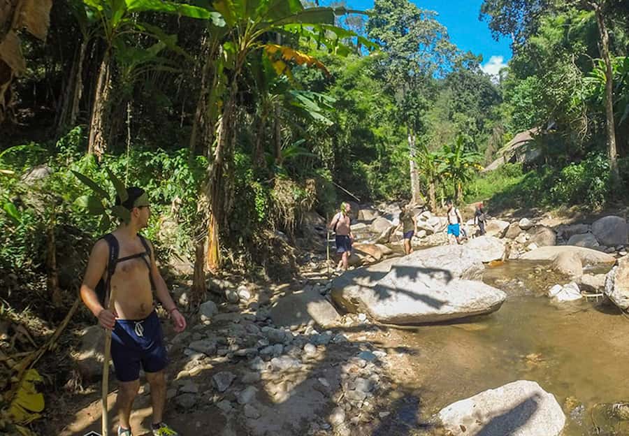 Chiang Mai: Whitewater Rafting and Waterfall Trekking Tour - What the jungle trek is really like