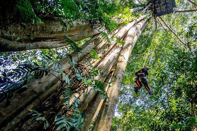 Chiang Mai Zipline White Water Rafting and Elephant Sanctuary - Who will enjoy this fast-paced day?