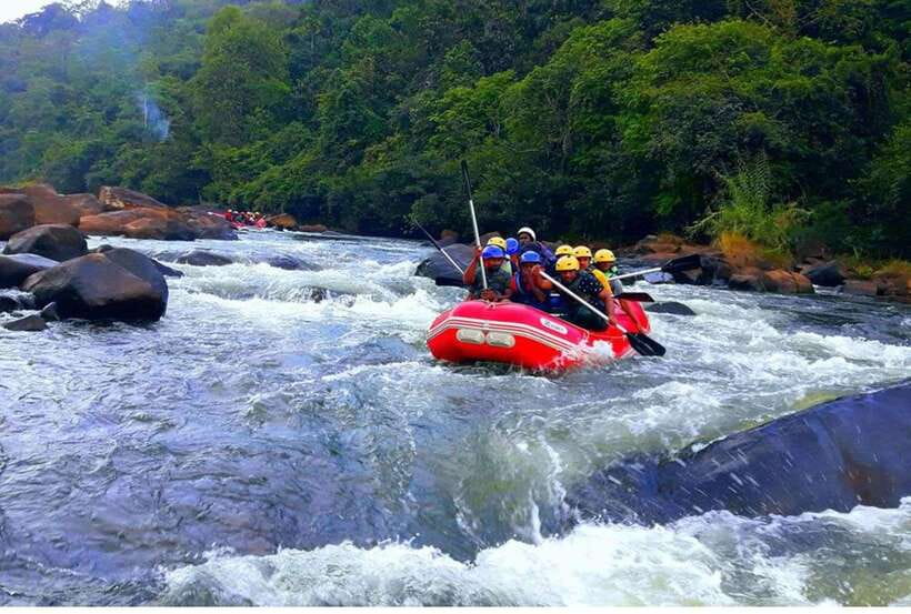 Colombo/ Negombo: Kithulgala White Water Rafting Adventure - From Colombo or Negombo to Kitulgala