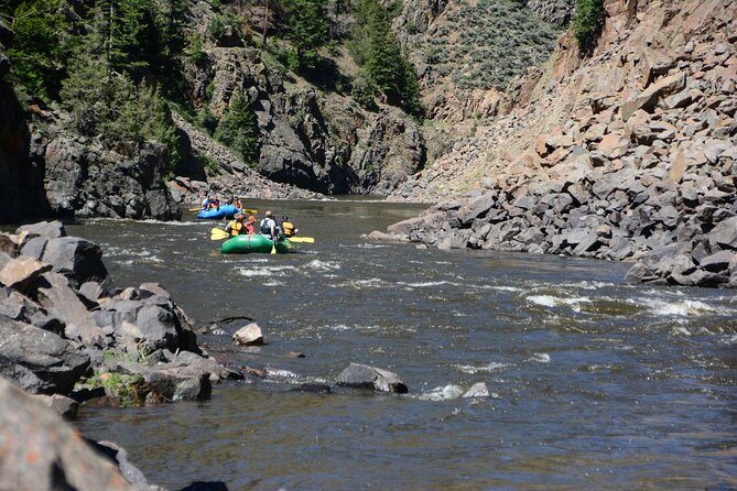 Colorado River Whitewater Rafting: Half Day Trip - Price and value at $97.90