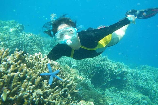Combination Tour: Ayung river rafting With Blue Lagoon Snorkeling - Ayung River rafting through jungle and rice fields