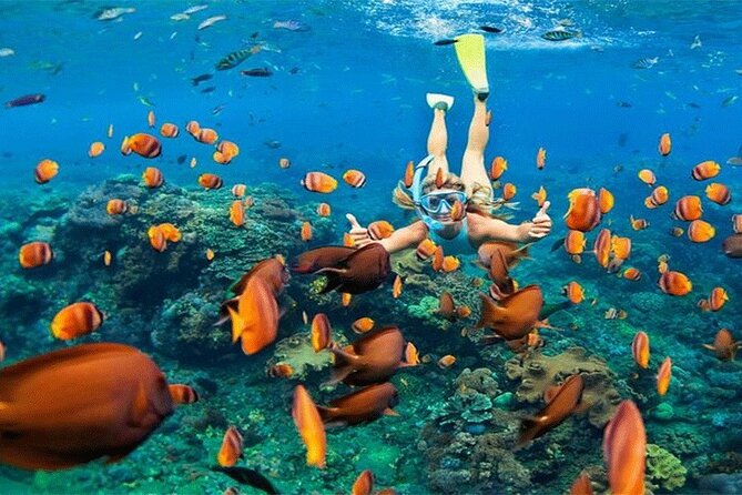 Combination Tour: Ayung river rafting With Blue Lagoon Snorkeling - What to bring and how to prepare