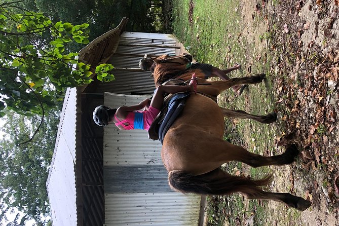 Customize Day Tour In Ochi (Horseback Riding,Rafting,Blue Hole, Dunns River ) - Why this private Negril to Ocho Rios route is useful