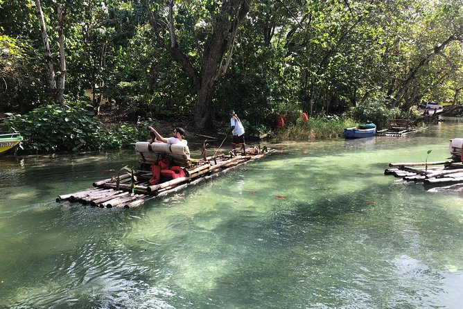 Customize Day Tour In Ochi (Horseback Riding,Rafting,Blue Hole, Dunns River ) - What the driver service adds to the day