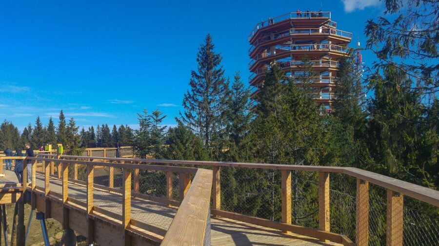 Dunajec River Gorge Rafting and Tree Top Walk from Krakow - Should you book the Dunajec and Bachledka trip?