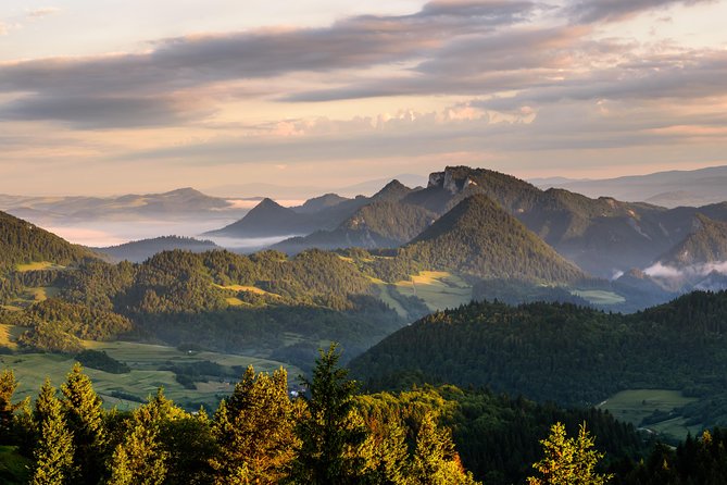 Dunajec River rafting, regular small group tour from Krakow - The traditional raft on the Dunajec