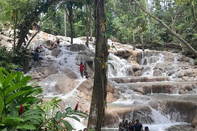 Dunn River Falls and Bamboo River Rafting in Ocho Rios Jamaica. - Transport, timing, and pickup details