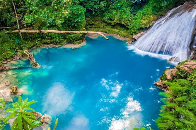 Dunn's River Falls, Blue Hole, Bamboo Rafting, Horseback Combo - Key points to know before booking