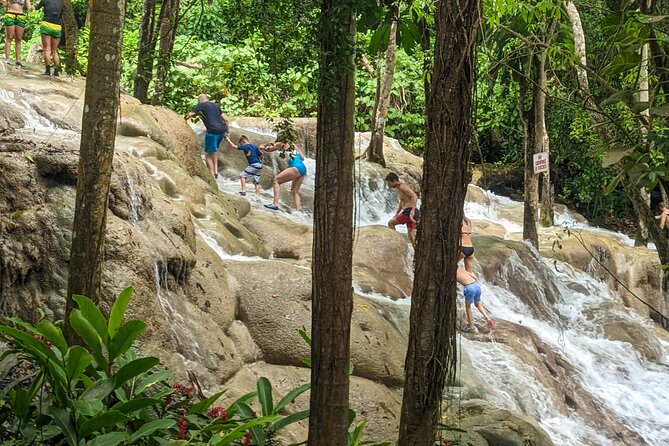 Dunns River Falls, Rafting, Zipline & Horseback from Montego Bay - Lunch at Scotchies Drax Hall