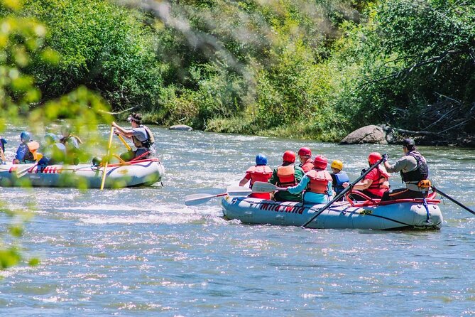 Durango 3/4 Day Rafting Trip with Lunch - Lower Animas River - Starting at 8:30 am in Durango
