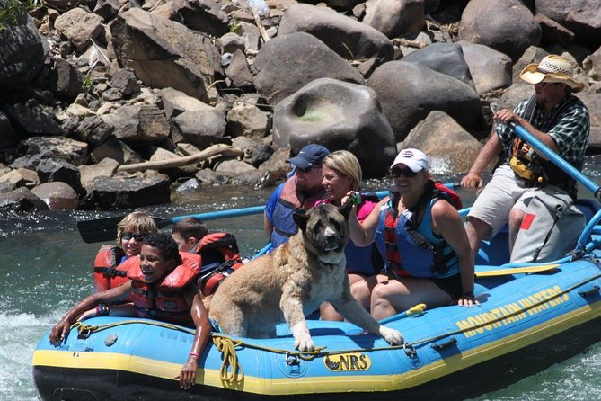 Durango Rafting - Quarter Day Family Friendly Trip - Why this short Animas River trip works so well