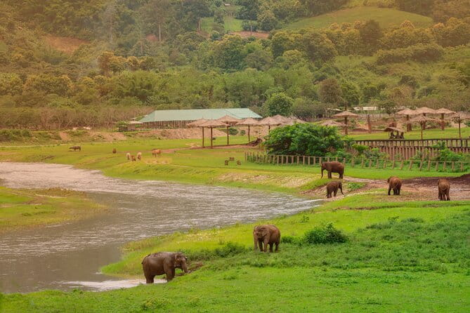 Elephant Sanctuary + Waterfall + Bamboo Rafting One Day Trip - Starting the day in an air-conditioned van