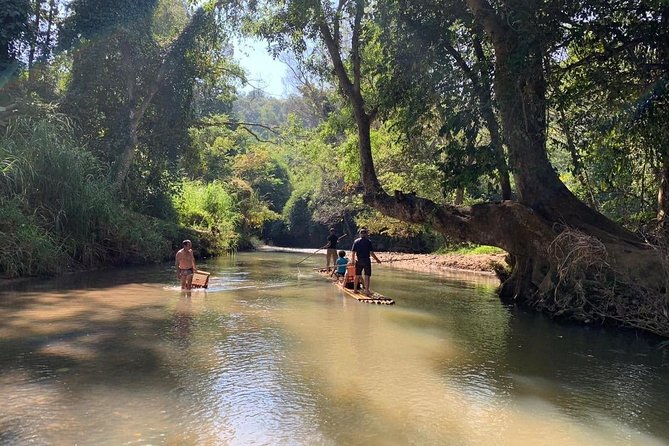 Elephant Sightings , Bamboo Rafting Through The Jungle, Swimming In a Waterfall - Swimming at Mae Wang Waterfall