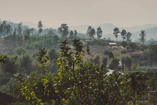 Elephant Sightings , Bamboo Rafting Through The Jungle, Swimming In a Waterfall - Elephant sightings without making the day only about elephants
