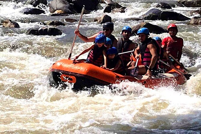 Ethical Elephant Visit and White Water Rafting in Chiang Mai - What the elephant encounter feels like in practice