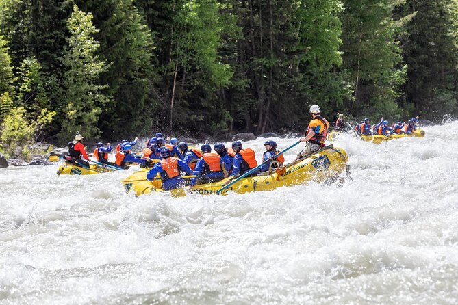 Extreme Whitewater Rafting on Kicking Horse River - The gear package makes the price easier to judge
