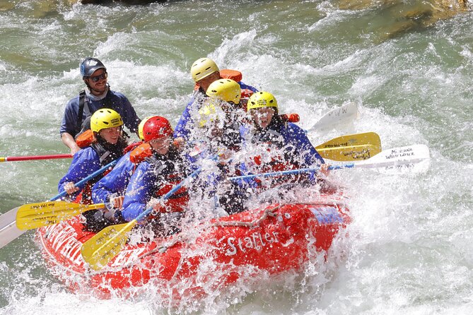 Family Friendly Gallatin River Whitewater Rafting - The Gallatin National Forest setting