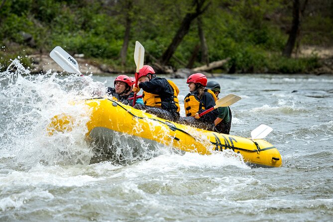 French Broad Gorge Whitewater Rafting Trip - Five miles into the French Broad Gorge
