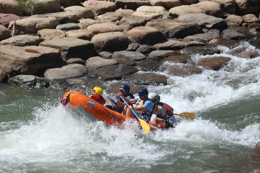 From Durango: Animas River Whitewater Rafting - Who should book this rafting trip?