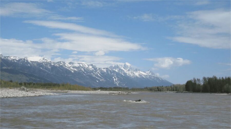 From Jackson Hole: Snake River Float with Scenic Teton Views - Two hours on the river, with the guide doing the steering