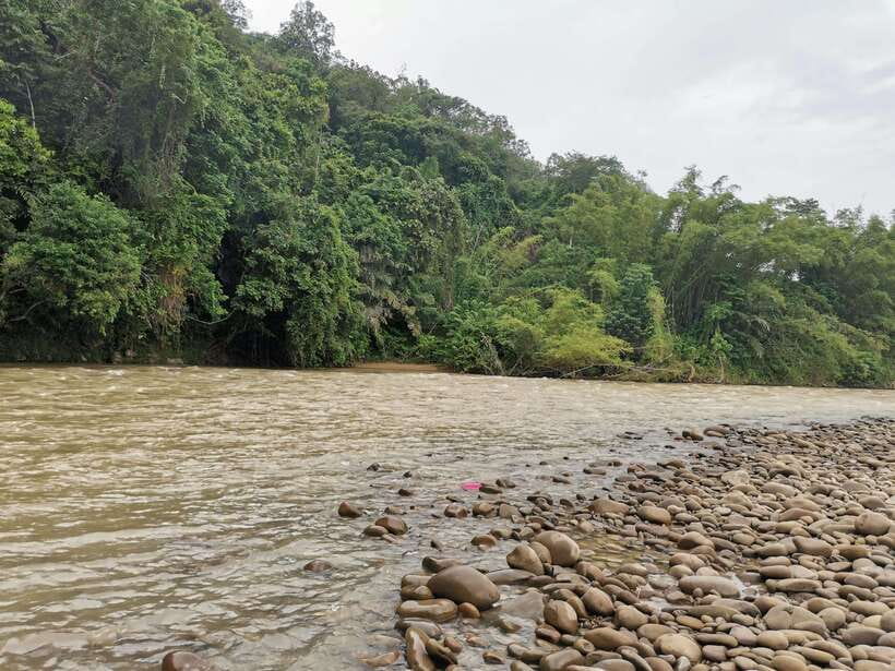 From Kota Kinabalu : Kiulu White Water Rafting Tour + meal - How the guides shape the day