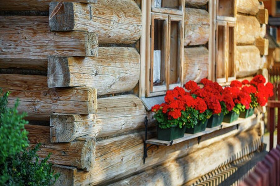From Krakow: Zakopane and Dunajec River Rafting Tour - Krupowki, Zakopane’s main street