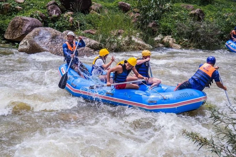 From Phuket: Elephant Care Experience with Rafting & Zipline - A long day from Phuket to Phang Nga