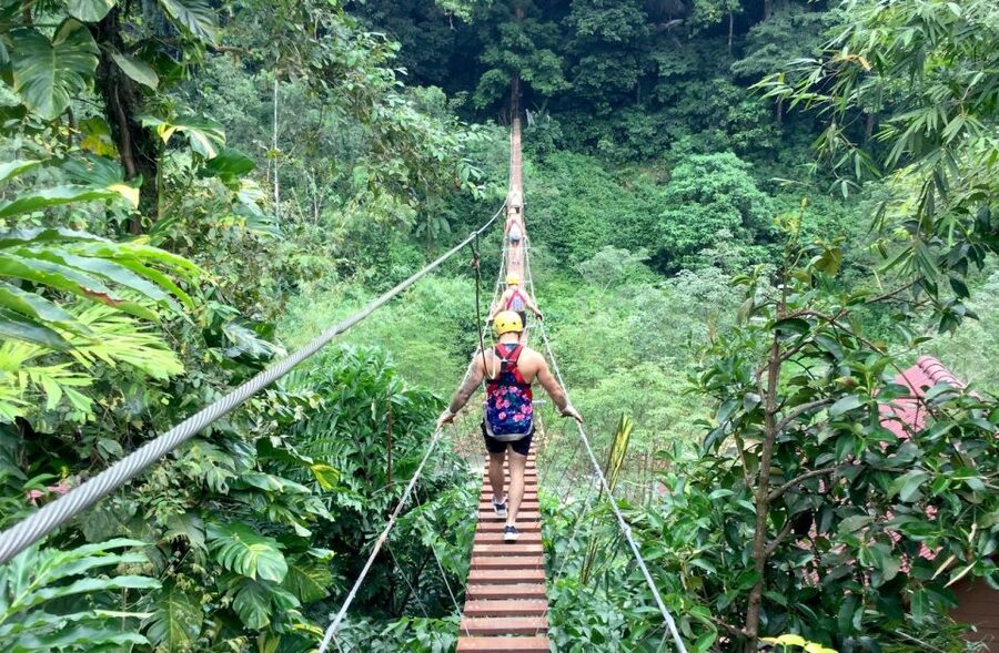 From Phuket: Elephant Care Experience with Rafting & Zipline - Zipline and rope bridge in the jungle