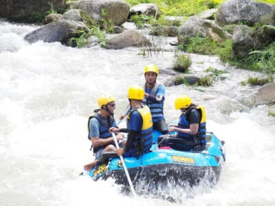 Elephant Care Experience with Rafting & Zipline