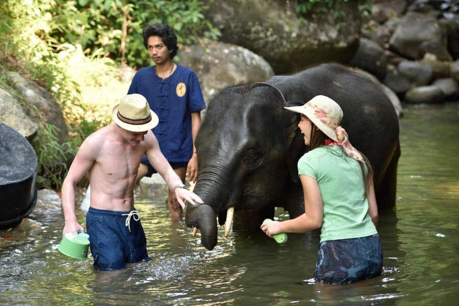 From Phuket: Elephant Care Experience with Rafting & Zipline - Thai lunch and the value of $77