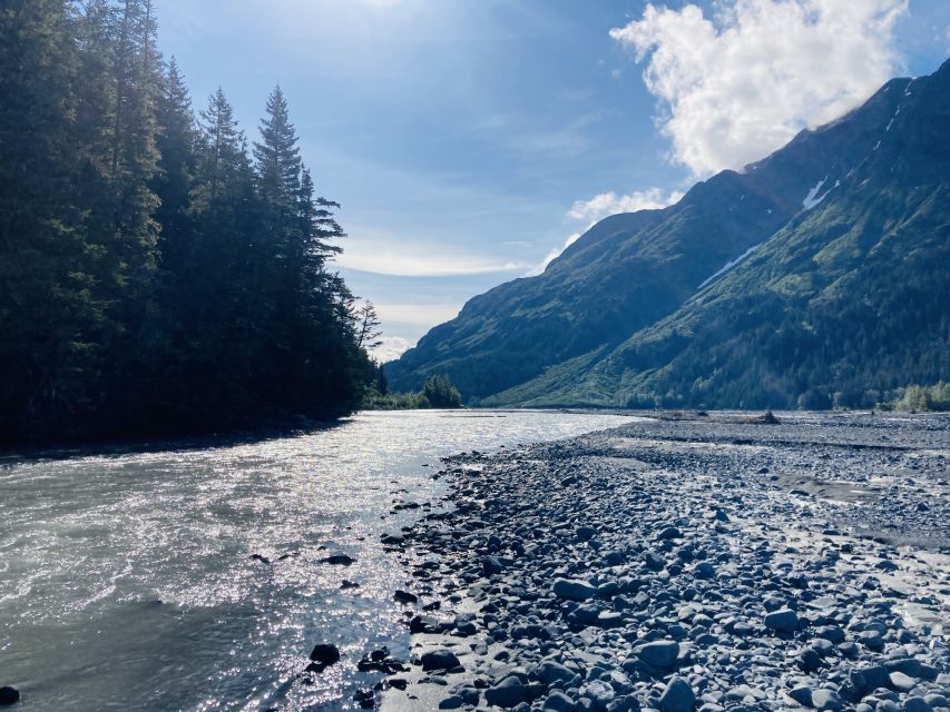 From Seward: Resurrection River Rafting Tour - Paddling the Resurrection River