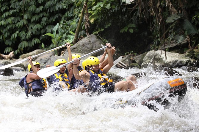 Full-Day Ayung River White Water Rafting and Ubud Tour - Why this Ayung River and Ubud combination works