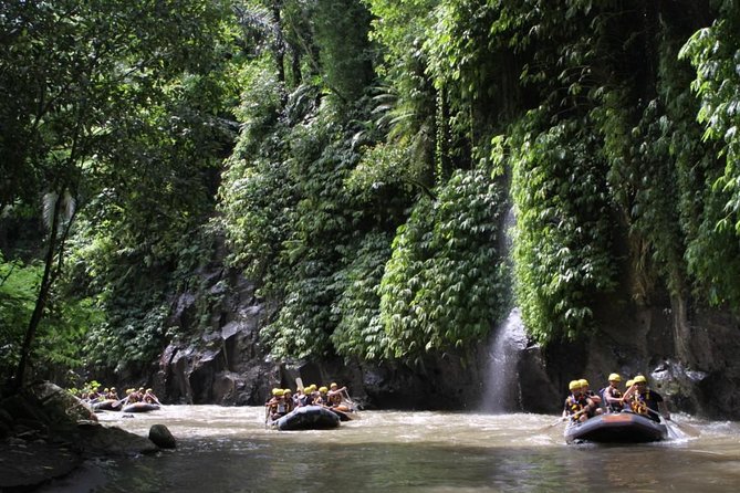 Full-Day Ayung River White Water Rafting and Ubud Tour - Buffet lunch and a useful reset
