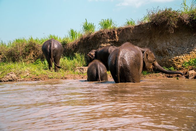 Full Day Chauffeur Driven Tuk Tuk Adventure in Chiang Mai including rafting - A remote temple with mountain views