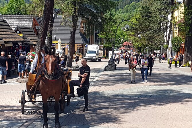 Full-Day Dunajec Rafting and Zakopane Tour from Krakow - Who Will Enjoy This Tour Most?