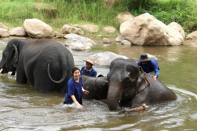 Full Day Elephant Bathing and Bamboo Rafting Tour in Chiang Mai - Mae Taman and the elephant river stop