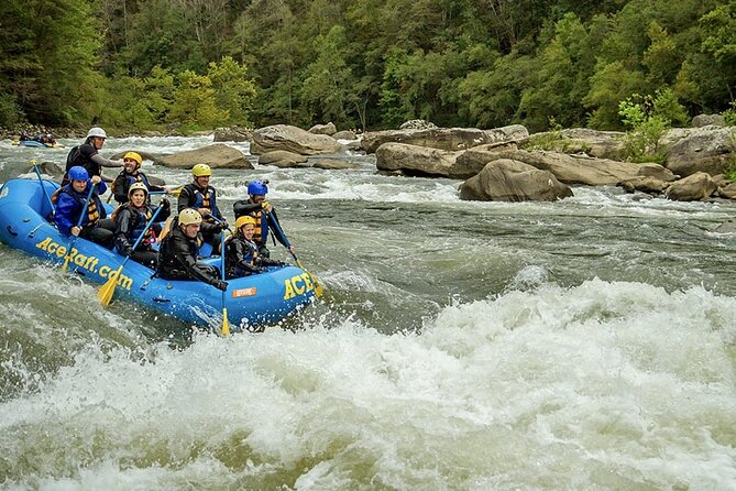 Full Day Fall Lower Gauley Rafting in West Virginia - Safety gear, guides, and the role of Susan
