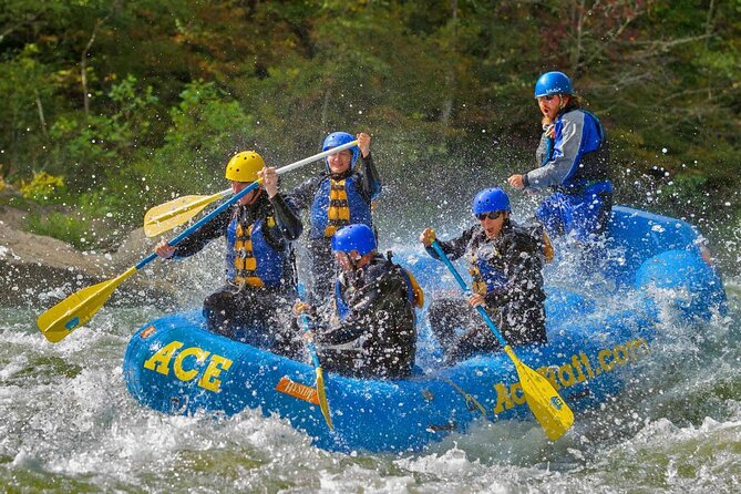 Full Day Fall Lower Gauley Rafting in West Virginia - Starting at ACE Adventure Resort at 9:15 a.m.
